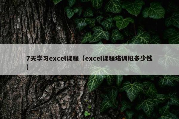 7天学习excel课程（excel课程培训班多少钱）