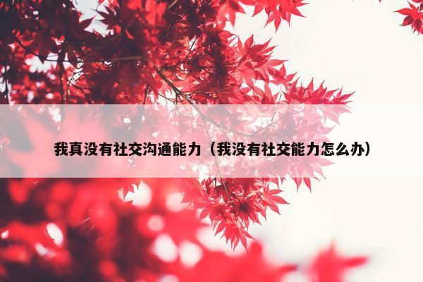 我真没有社交沟通能力（我没有社交能力怎么办）