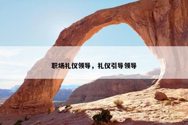 职场礼仪领导，礼仪引导领导