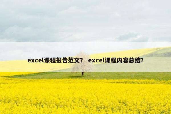 excel课程报告范文？ excel课程内容总结？