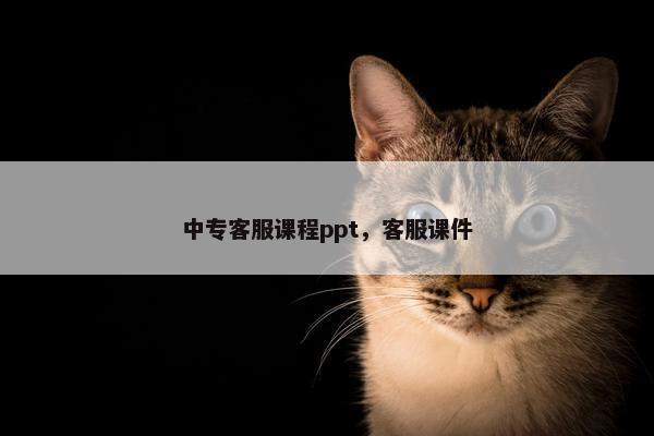中专客服课程ppt，客服课件