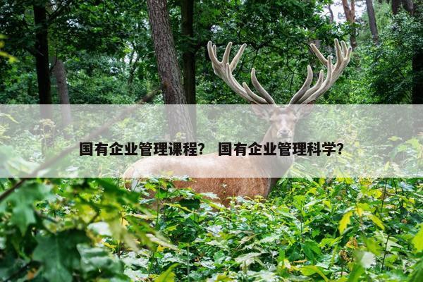 国有企业管理课程？ 国有企业管理科学？