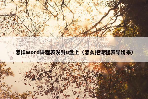 怎样word课程表发到u盘上（怎么把课程表导出来）