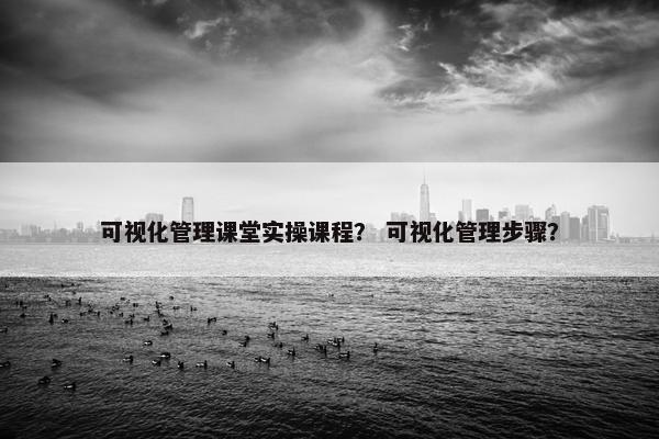 可视化管理课堂实操课程？ 可视化管理步骤？
