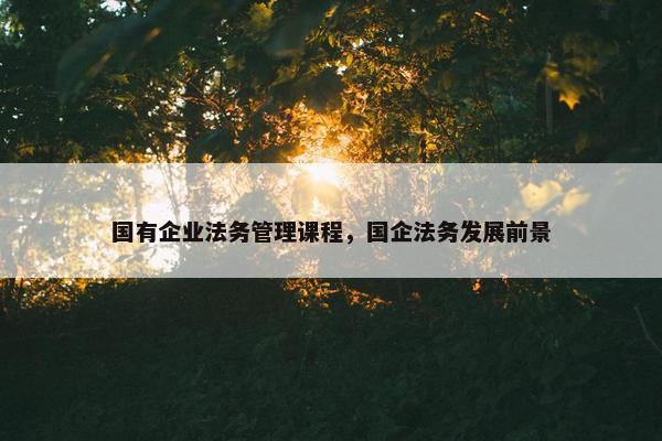 国有企业法务管理课程，国企法务发展前景
