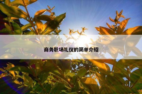 商务职场礼仪的简单介绍