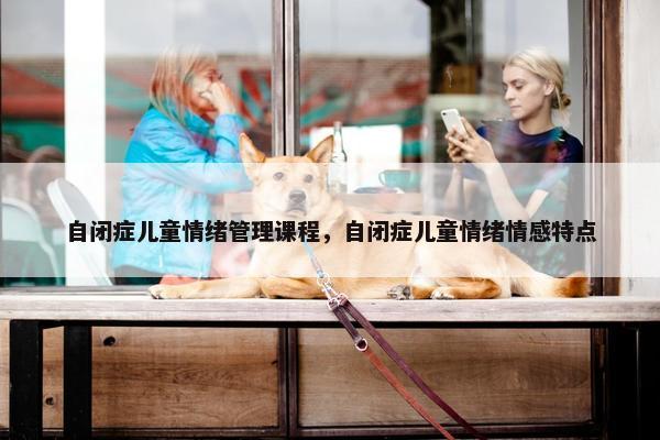 自闭症儿童情绪管理课程，自闭症儿童情绪情感特点