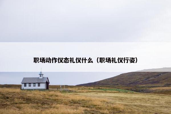 职场动作仪态礼仪什么（职场礼仪行姿）