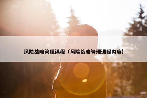 风险战略管理课程（风险战略管理课程内容）