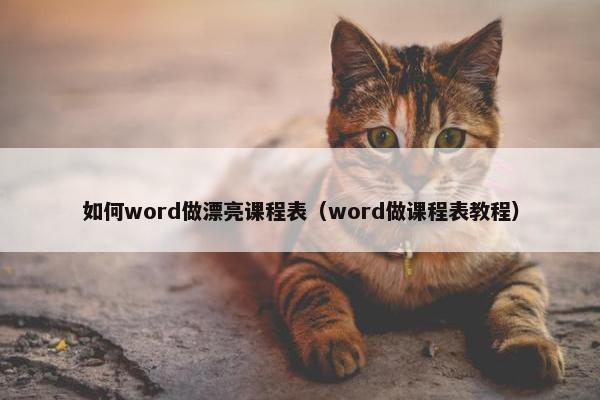 如何word做漂亮课程表（word做课程表教程）
