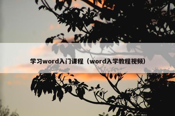 学习word入门课程（word入学教程视频）
