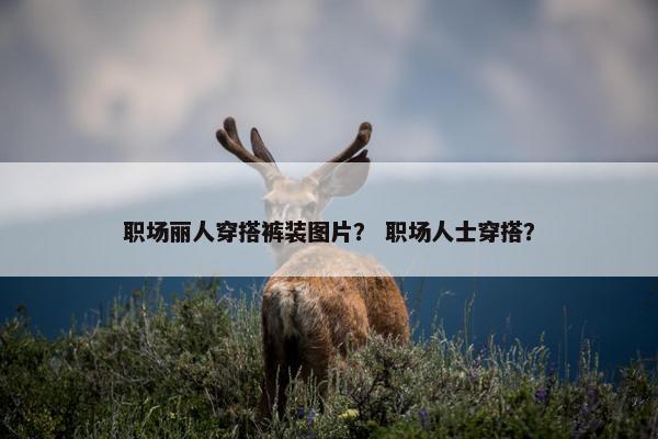 职场丽人穿搭裤装图片？ 职场人士穿搭？