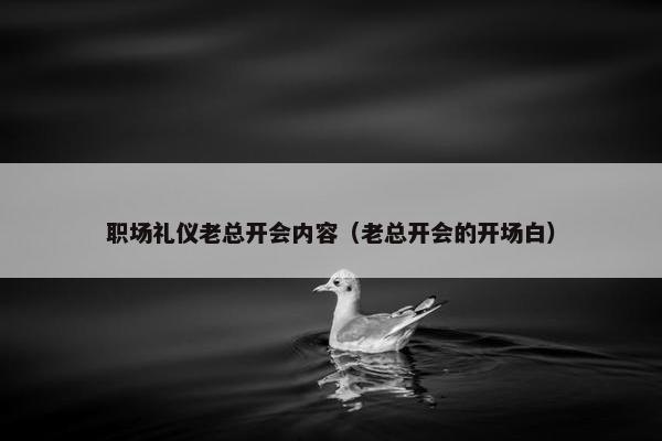 职场礼仪老总开会内容（老总开会的开场白）
