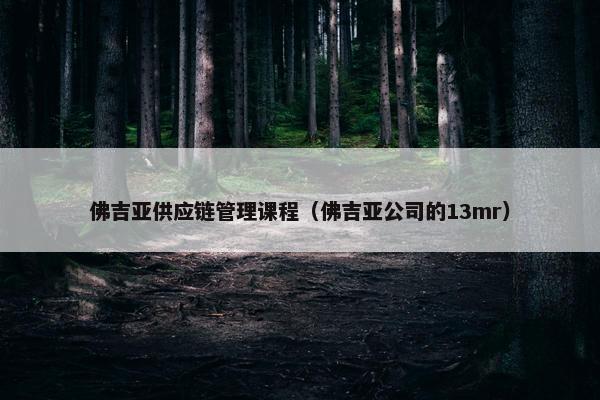 佛吉亚供应链管理课程（佛吉亚公司的13mr）