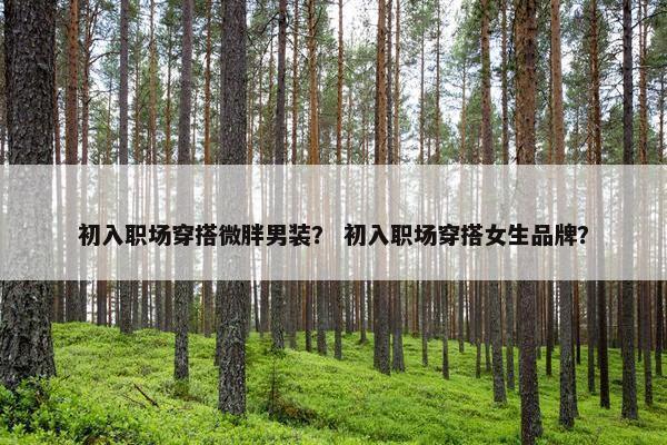 初入职场穿搭微胖男装？ 初入职场穿搭女生品牌？