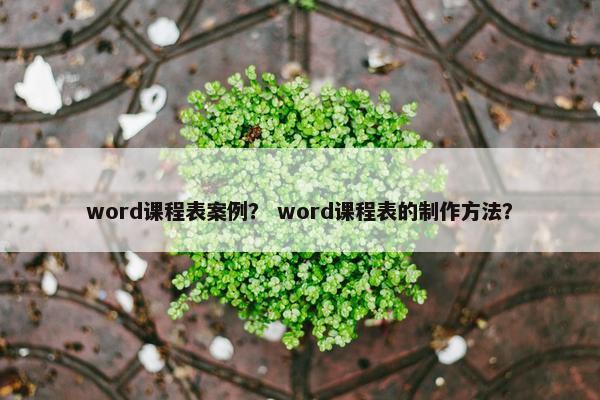 word课程表案例？ word课程表的制作方法？