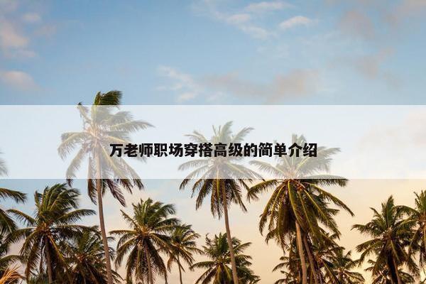 万老师职场穿搭高级的简单介绍