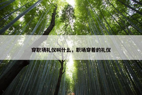 穿职场礼仪叫什么，职场穿着的礼仪