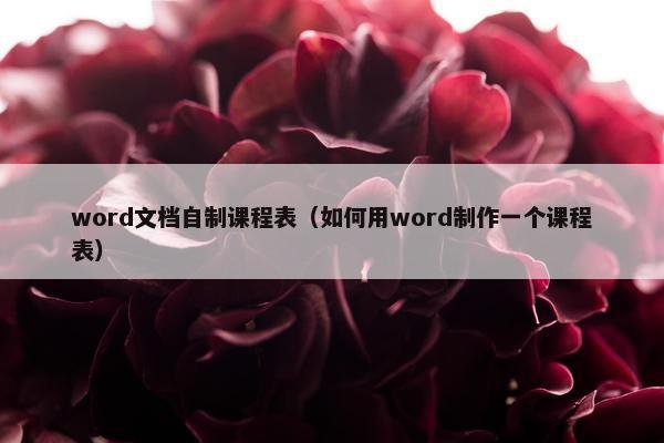 word文档自制课程表（如何用word制作一个课程表）