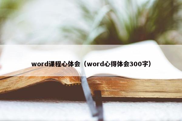 word课程心体会（word心得体会300字）