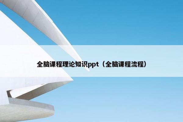 全脑课程理论知识ppt（全脑课程流程）