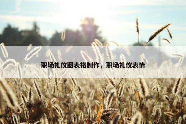 职场礼仪图表格制作，职场礼仪表情