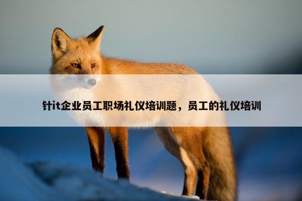 针it企业员工职场礼仪培训题，员工的礼仪培训