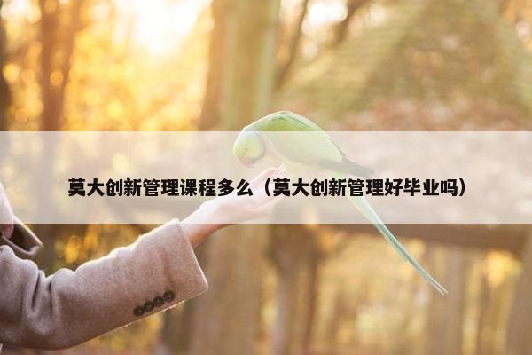 莫大创新管理课程多么（莫大创新管理好毕业吗）