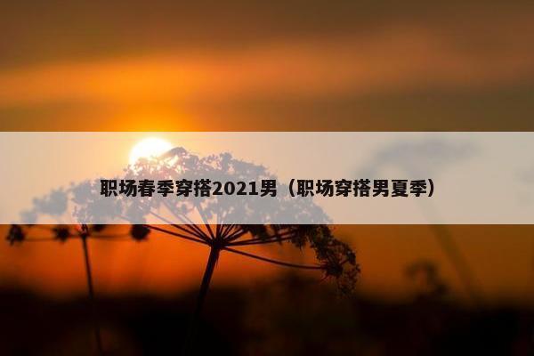 职场春季穿搭2021男（职场穿搭男夏季）