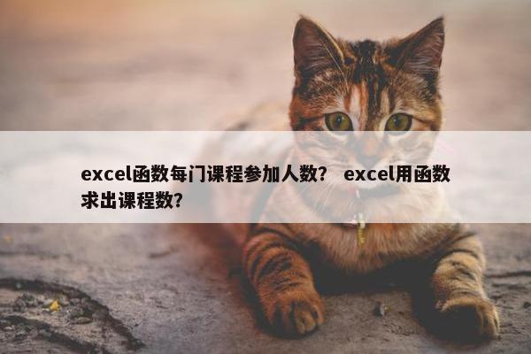 excel函数每门课程参加人数？ excel用函数求出课程数？
