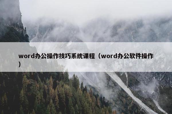 word办公操作技巧系统课程（word办公软件操作）
