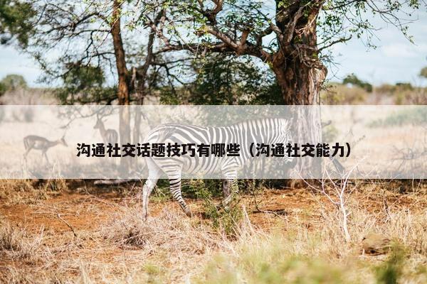 沟通社交话题技巧有哪些（沟通社交能力）