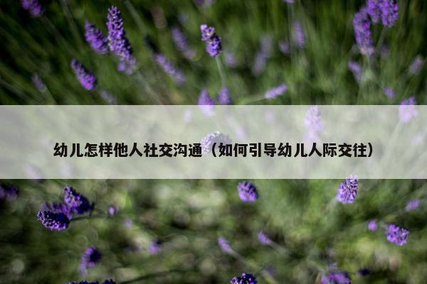 幼儿怎样他人社交沟通（如何引导幼儿人际交往）