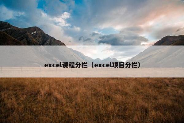 excel课程分栏（excel项目分栏）