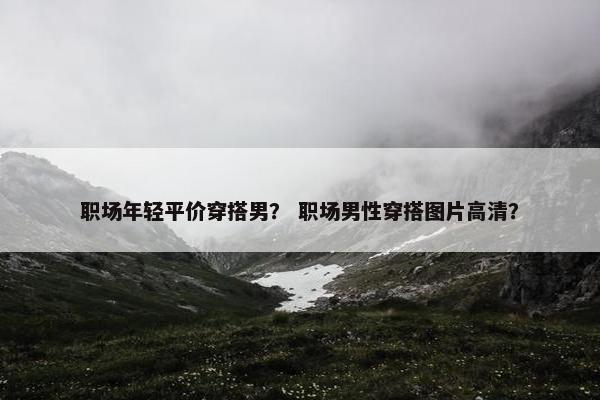 职场年轻平价穿搭男？ 职场男性穿搭图片高清？