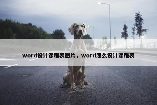 word设计课程表图片，word怎么设计课程表