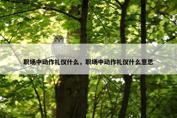 职场中动作礼仪什么，职场中动作礼仪什么意思