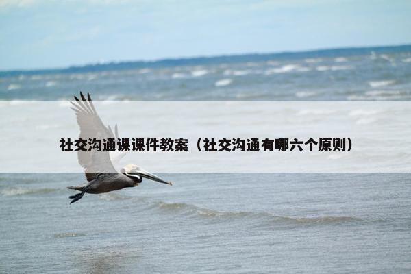 社交沟通课课件教案（社交沟通有哪六个原则）