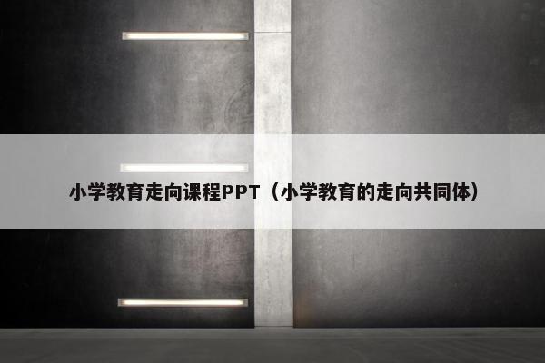 小学教育走向课程PPT（小学教育的走向共同体）