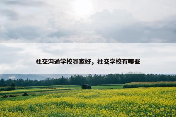 社交沟通学校哪家好，社交学校有哪些