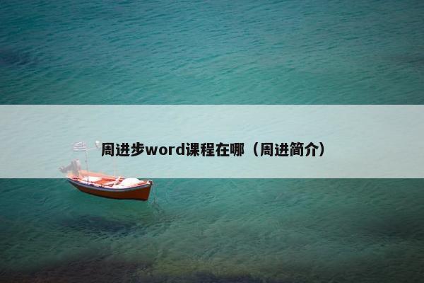 周进步word课程在哪（周进简介）