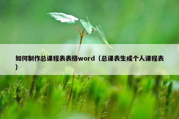 如何制作总课程表表格word（总课表生成个人课程表）