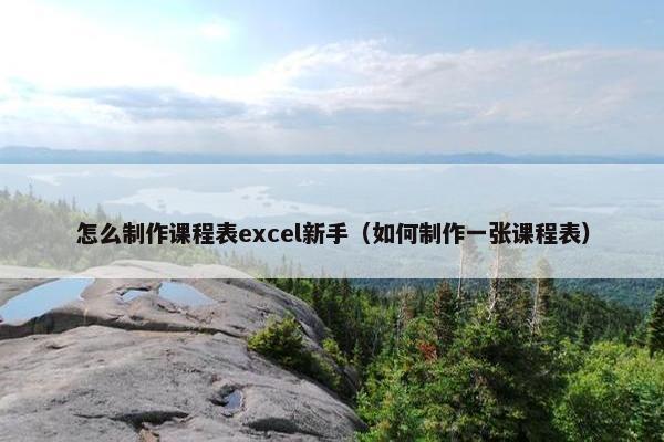 怎么制作课程表excel新手（如何制作一张课程表）
