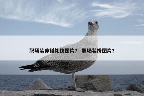 职场装穿搭礼仪图片？ 职场装扮图片？