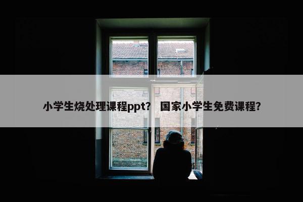 小学生烧处理课程ppt？ 国家小学生免费课程？