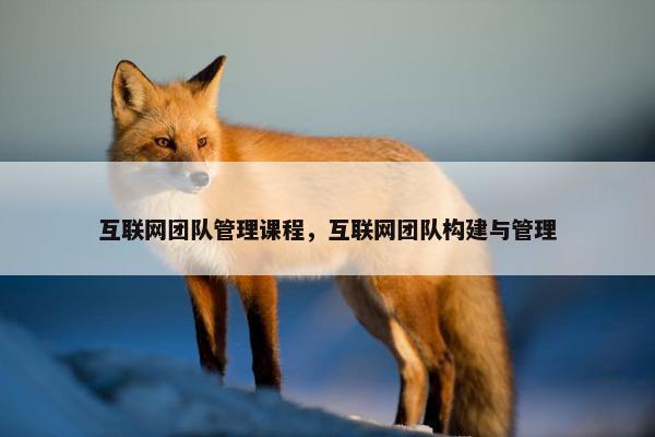 互联网团队管理课程，互联网团队构建与管理