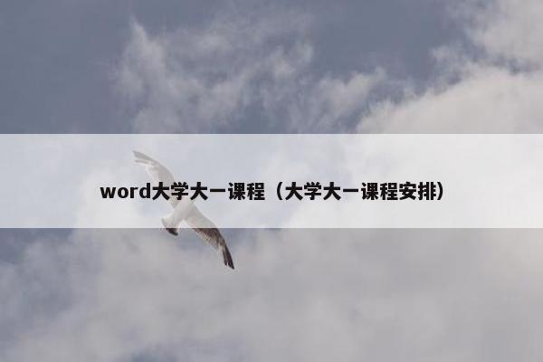 word大学大一课程（大学大一课程安排）