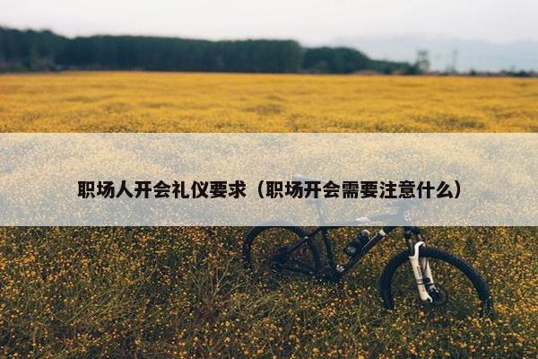 职场人开会礼仪要求（职场开会需要注意什么）