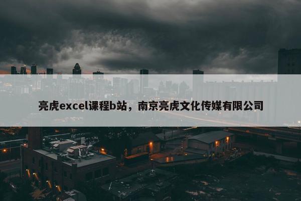 亮虎excel课程b站，南京亮虎文化传媒有限公司