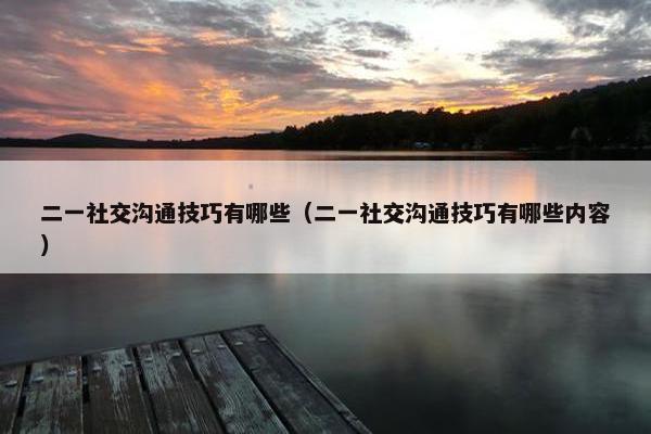二一社交沟通技巧有哪些（二一社交沟通技巧有哪些内容）